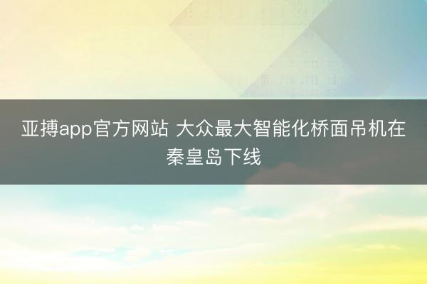 亚搏app官方网站 大众最大智能化桥面吊机在秦皇岛下线