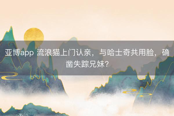 亚博app 流浪猫上门认亲，与哈士奇共用脸，确凿失踪兄妹?