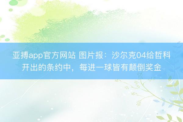 亚搏app官方网站 图片报:沙尔克04给哲科开出的条约中,每进一球皆有颠倒奖金