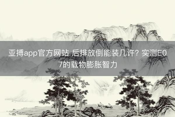 亚搏app官方网站 后排放倒能装几许? 实测E07的载物膨胀智力