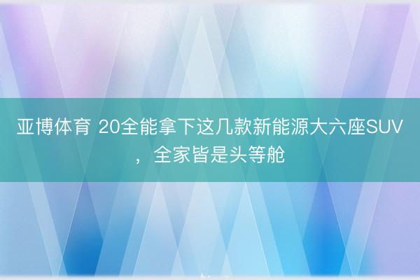 亚博体育 20全能拿下这几款新能源大六座SUV，全家皆是头等舱