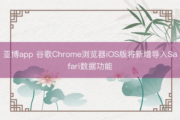 亚博app 谷歌Chrome浏览器iOS版将新增导入Safari数据功能