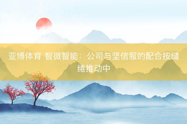 亚博体育 智微智能:公司与坚信服的配合按缱绻推动中