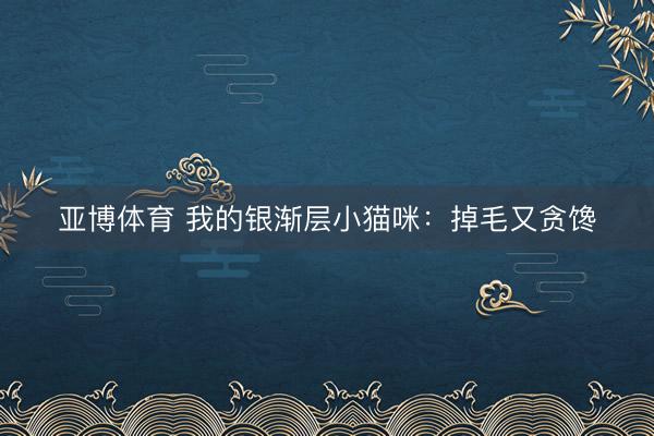 亚博体育 我的银渐层小猫咪:掉毛又贪馋