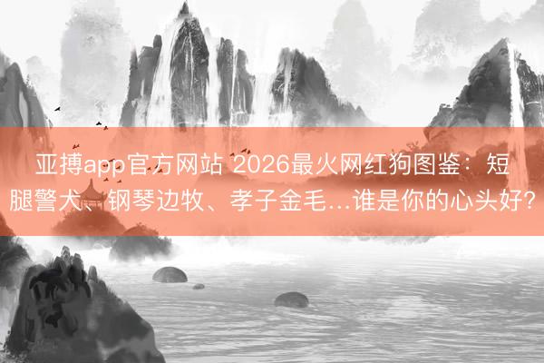 亚搏app官方网站 2026最火网红狗图鉴:短腿警犬、钢琴边牧、孝子金毛…谁是你的心头好?