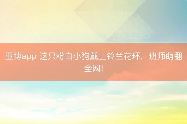 亚博app 这只粉白小狗戴上铃兰花环,班师萌翻全网!