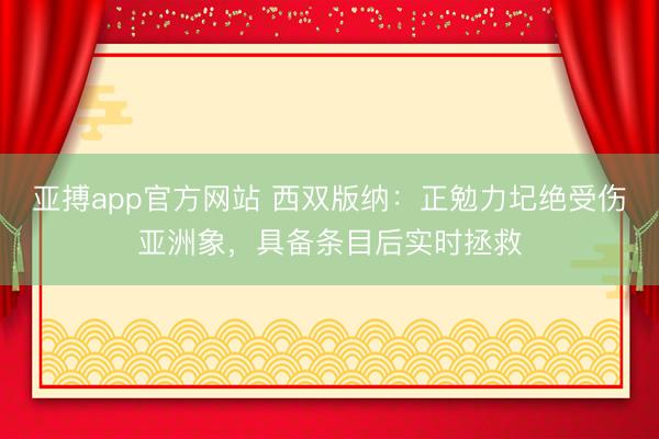 亚搏app官方网站 西双版纳:正勉力圮绝受伤亚洲象,具备条目后实时拯救