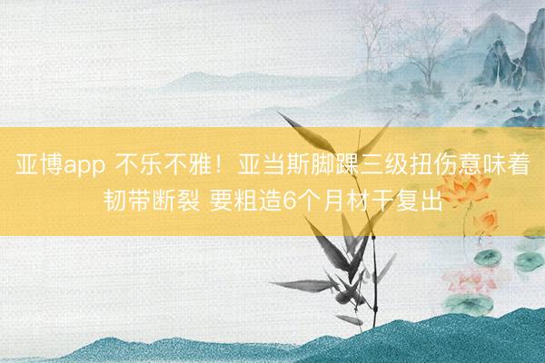 亚博app 不乐不雅！亚当斯脚踝三级扭伤意味着韧带断裂 要粗造6个月材干复出