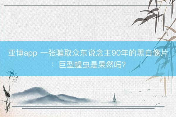 亚博app 一张骗取众东说念主90年的黑白像片：巨型蝗虫是果然吗？