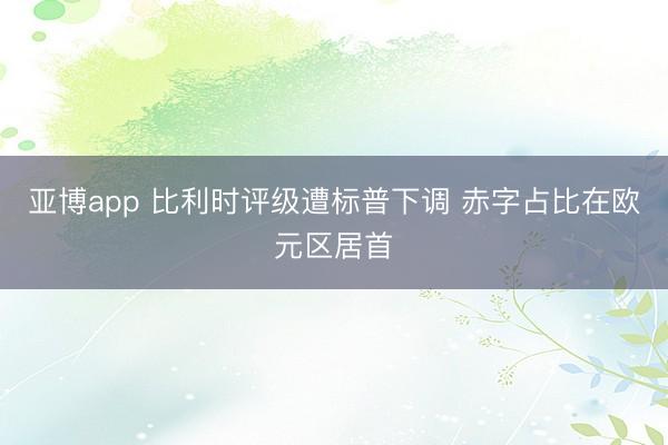 亚博app 比利时评级遭标普下调 赤字占比在欧元区居首