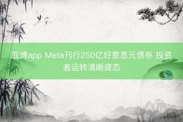 亚博app Meta刊行250亿好意思元债券 投资者运转清晰疲态